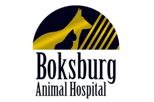 The practice's own mark: a gold dog and cat silhouette in a navy semicircle above the words Boksburg Animal Hospital