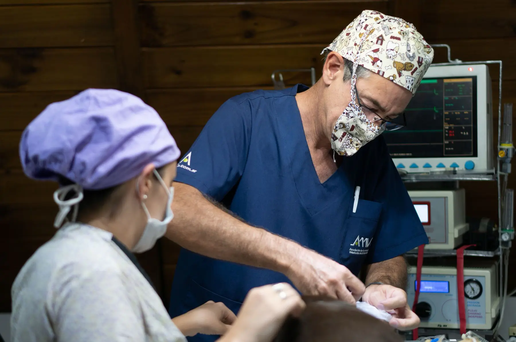 Two vets in scrubs working over a monitored patient